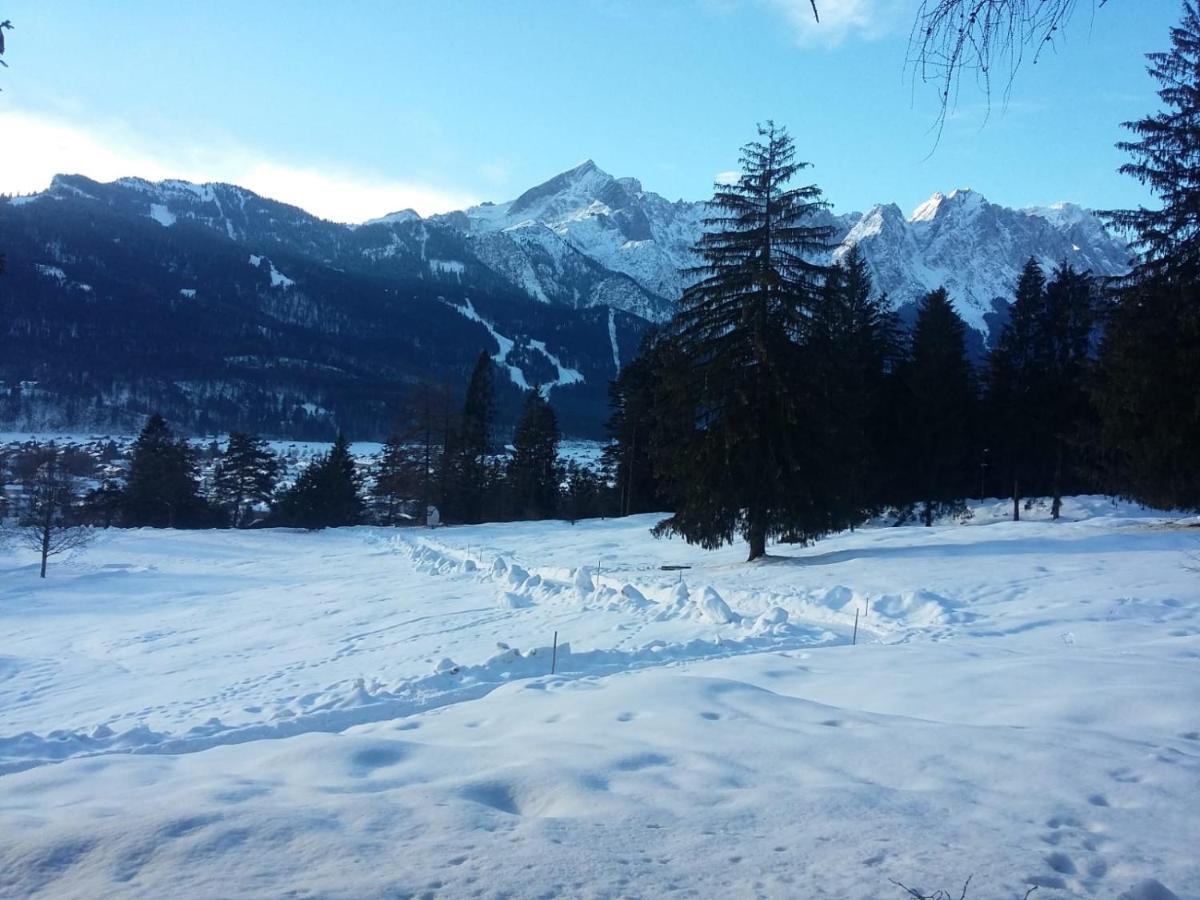 Apartament Laurin